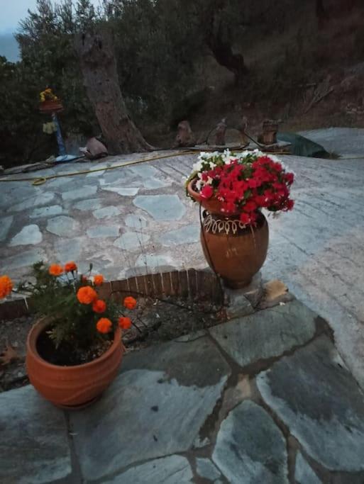 Pelion Mountain & Sea Villa - Private Studio Ano Gatzea Eksteriør bilde