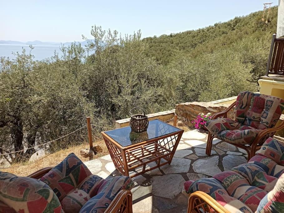 Pelion Mountain & Sea Villa - Private Studio Ano Gatzea Eksteriør bilde